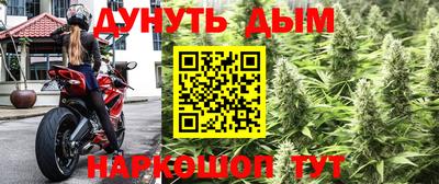 гидропоника Апшеронск