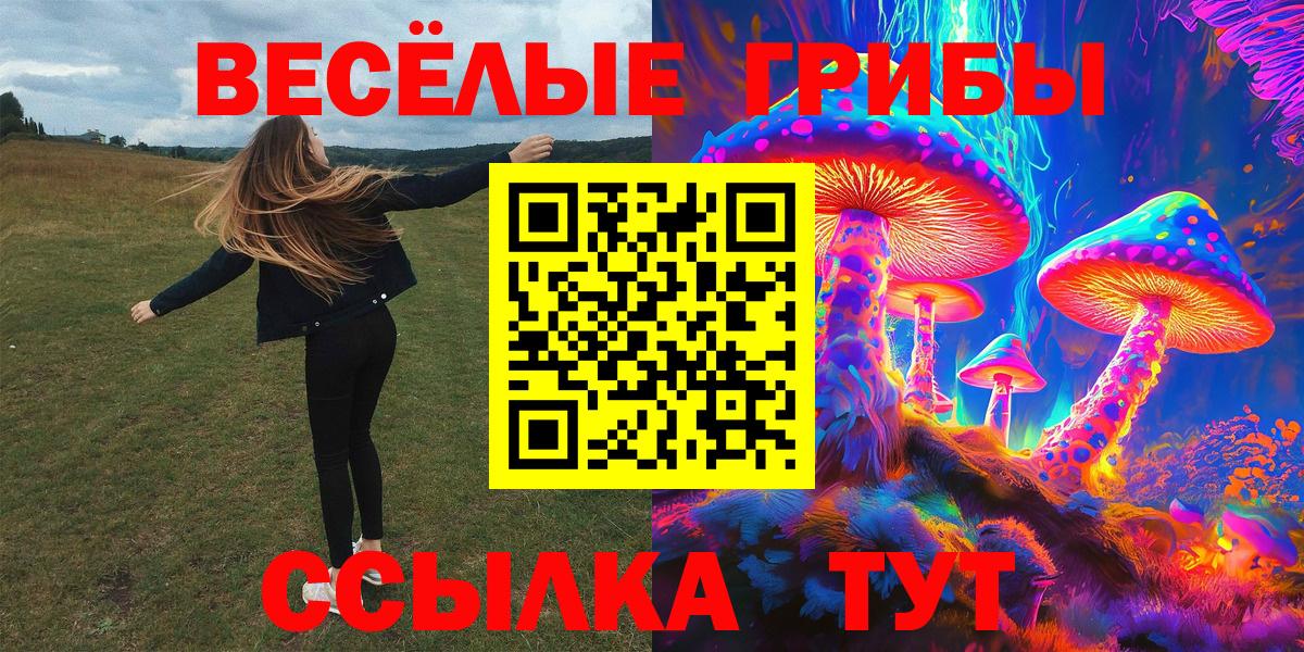 что такое наркотик  Вход с VPN  Галлюциногенные грибы Cubensis  Владивосток  Галлюциногенные грибы Psilocybine cubensis 