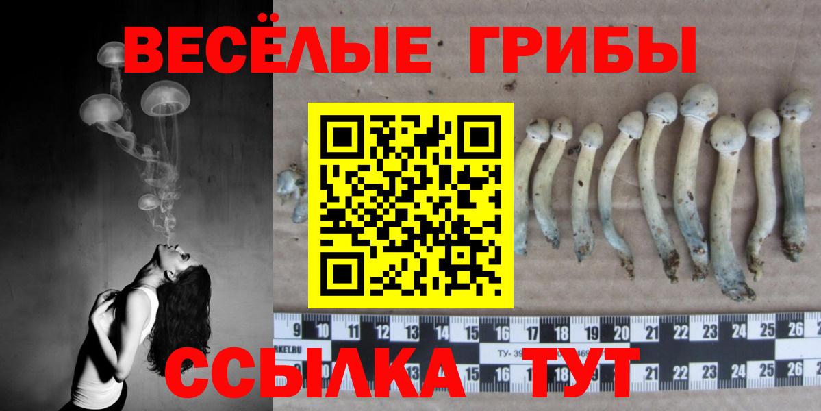 Галлюциногенные грибы ЛСД Владивосток